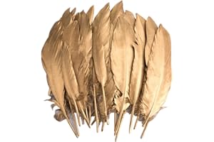 VIDILLO Plumes Colorées, 40pcs Or rempé Plume Décoration, Idéal Pour Costumes, Chapeaux, Décoration d'intérieur Fete Mariage Anniversaire (Feathers J)