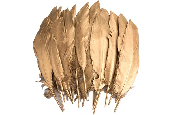 Plumes Colorées, 40pcs Or rempé Plume Décoration, Idéal Pour Costumes, Chapeaux, Décoration d'intérieur Fete Mariage Anniversaire (Feathers J)