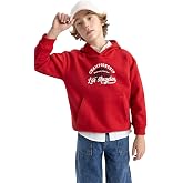 DeFacto Boys' Regular Fit Hooded Sweatshirt
