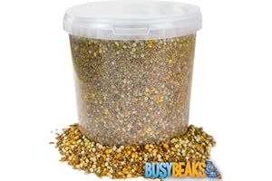 BusyBeaks Four Seasons Pigeon Corn | Premium Grade Natural Food Mix | Rich in Nutritious Oils Vitamins and Minerals | Perfect Year-Round Wild Bird Seed Feed | High in Protein Energy & Fibre (1L Tub)