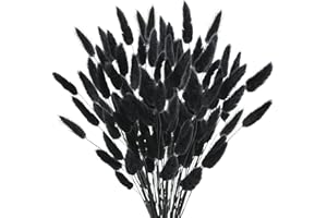 Barlone 120 Stück Pampasgras Klein, Hasenschwanzgras Getrocknet Pampasgras Deko, Pampas Gras Trockenblumen Schwarz, Trockenblumen Klein Pampas Gras für Deko Wohnzimmer Hochzeit Tischdeko