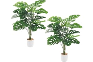 GoldOars 2 Pezzi Pianta Artificiale Monstera 75cm Albero Finte Philo in Vaso Bianco per Decorazione Interna Esterna Ufficio Giardino Soggiorno