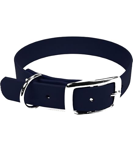 Bio-leine Biothane Hundehalsband – Mit Dornschnalle, Wasserabweisend, Türkis, Halsumfang 55-65 Cm, Für Große Hunde