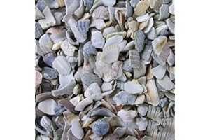 BusyBeaks Hen Sized Oyster Shell | Premium High in Calcium Poultry Grit | Enhances Strong Bones Digestion System and Quality of Eggs | Chicken Hen Animal Wildlife Mixture | Natural Food Mix (7.5kg)