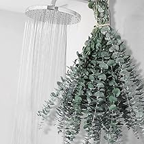 Zo gebruik je eucalyptus takken in huis | Natuurlijk Bloemen