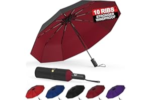 BALORIZ Windproof Double Layer Umbrellas, Compact Travel Folding Umbrella, Auto Open & Close Portable Wind & Rain Resistant Umbrella with 10 Ribs for Men, Women, Children (Wine Red)