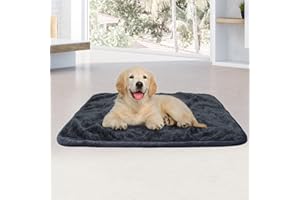 NeuWee Coperta per Cani, 80 x 100 cm, Coperta Waterproof per Cani, Gatti, Animali, Morbida e Soffice Coperta Bifacciale per Cucce e Divani per Cani, Lavabile (80x100cm, Grigio Scuro + Grigio Chiaro)
