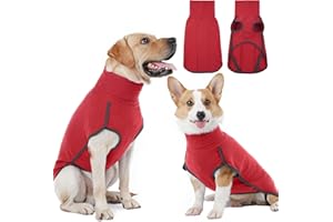 Hjyokuso Jersey y Disfraz para Perro - Ropa para Perros Pequeños, Medianos y Grandes - Abrigo Suave y Cálido - XL