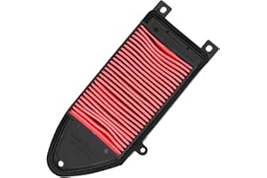 Yerbay Filtro de aire para Kymco Agility City 125 2008-2018/ People 125 150 1999-2015/ People S 125 150 DD 2007-2015/ Super 8 125 2008-2014/ S 200 2006-2016/ 1723C-KHB4-900