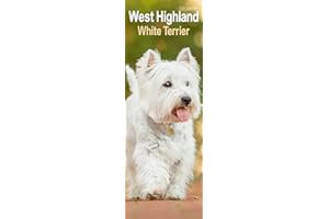 West Highland Terrier Slim 2026 Calendar | Slimline Wall Calendar | Dog Breed Gift | Plastic Free Packaging | by Avonside Publishing