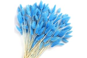 Songjum 120 PCS Dried Bunny Tails Flowers Lagurus Bunny Tails Pampas Grass Decor Blue Dried Pampas Grass Decor for Flower Arrangements Boho Wedding Bouquets Home Decor Garden Decor