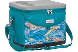 ‎ANNDORA anndora Kühltasche 22 L Picknick Kühlbox 35 x 24 x 27 cm - Farbauswahl