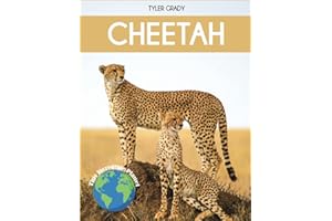 Cheetah: Fascinating Animal Facts for Kids