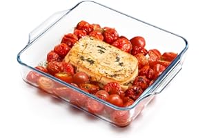 NUTRIUPS pirofila da forno in vetro borosilicato, 19cm mini piatto quadrato forno sicuro lasagnera da forno,1.3L