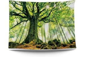 Ulticool – Árbol de la luz del sol Árboles Naturaleza - Tapiz Póster - 200 x 150 cm - Póster de jardín - Tapiz grande - Accesorio de decoración para jardín y sala de estar
