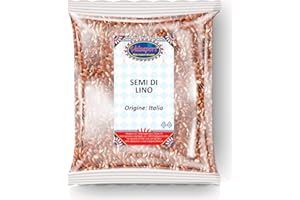 VALSAPORI Semi di Lino Essiccati al Sole - Busta da 100 gr | Gluten Free Vegan | Semi di lino Naturali, Ricchi Di Omega 3, Fibre e Sali Minerali - Qualità Premium (Semi di Lino)
