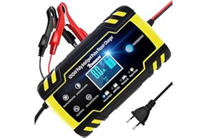 NWOUIIAY Caricabatteria Auto 8A 12V/24V Multi Protezioni di Carica Automatico Caricatore Intelligente con Schermo LCD Touch Screen per Auto Moto Tosaerba o Barca