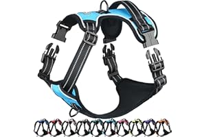 VIVAGLORY Easefit Hundegeschirr, Zugstopp Hundegeschirr Geschirr Hund Mit Griff, Anti Zieh Geschirr Für Hunde Training & Spazieren, Gepolstert & No-Pull Ausbruchsicher für Hunde, M, Blau