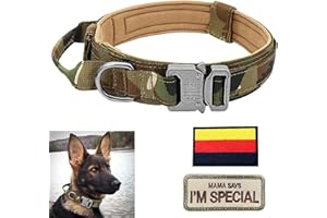 EEYFAROG Hundehalsband Verstellbar mit Kontrollgriff, Taktisch Halsband Nylon, Hunde Halsband Gepolstert, Metallschnalle, für Mittlere Große Hunde Jagd Training Outdoor, K9 Grün L Breit