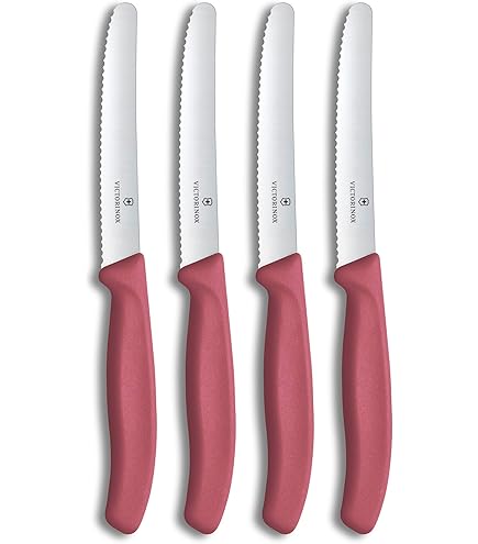 Pintinox Catarì Smart, set 6 Coltello Pizza in Acciaio inox, Qualità professionale | Leroy Merlin