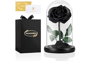 MAMAMIKO Ewige Rose im Glas, Schwarze, Konservierte Echt Blume für 5 Jahre, Infinity Rose, Besondere Geschenk für Frauen, Freundin, Mutter, für Sie, zum Valentinstag, Jahrestag, Geburtstag, Muttertag