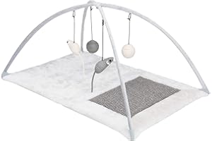 Trixie Tapis Griffoir pour Chat, 60cm X 33cm X 42cm pour Chat