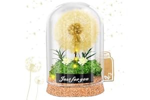 SaiXuan Lámpara de los Deseos con Diente de León en Vidrio, Luz Nocturna LED,Regalo Mujer Original, Regalo Amiga Cumpleaños,San Valentín, Día de la Madre, Regalos Originales
