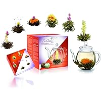 Creano Teeblumen Mix - Geschenkset ErblühTee mit Glaskanne 500ml Weißtee & Schwarztee mit 6 Teekugeln je 3x weißer…
