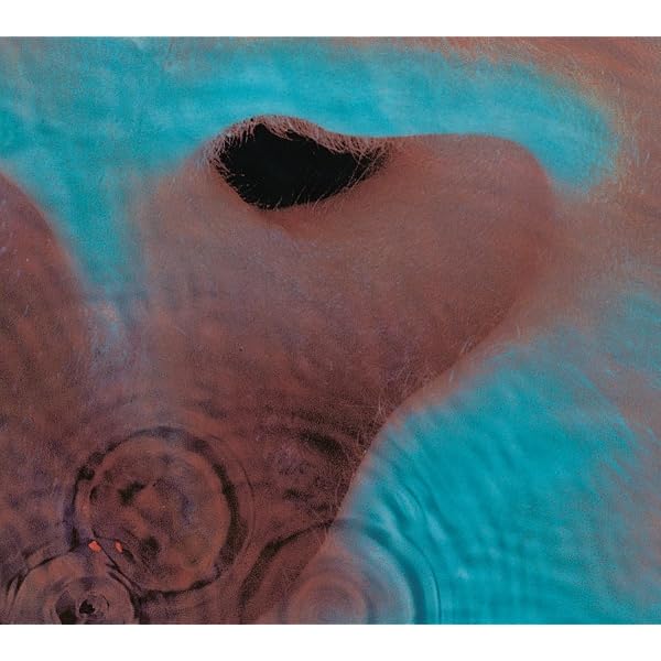 Pink Floyd 'Obscured By Clouds' - LP [Vinyl LP]: Amazon.de: Musik