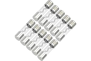 Partuto 10 Stück 10x38mm 0,39x1,50 Zoll 100A Universal AGU Glassicherung - Kfz-Sicherungsröhre zum Schutz der Stromversorgung - Metall Silberton