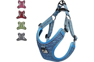 Suredoo Adjustable Dog Harness with Front Clip, No Pull Soft Mesh Padded Reflective Breathable Pet Vest Harness for Small Medium Large Dogs (M, Blue)