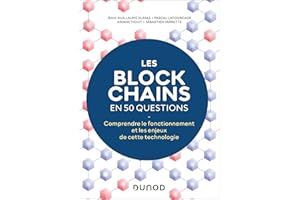 Les blockchains en 50 questions - 2éd.: Comprendre le fonctionnement de cette technologie