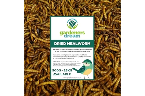 vers de Farine séchés GardenersDream - Friandises nutritives pour Oiseaux Sauvages (5kg)