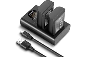 NEEWER DMW-BLK22 - Batería de Repuesto y Cargador (2 Unidades, 2400 mAh, Cargador USB de Doble Canal, Compatible con Panasonic Lumix DC-S5 DC-S5 II DC-S5 IIX GH5 II GH6 S5II S5M2 GH5M2