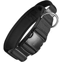 RICH Lederhalsband Für Hunde – Extra Breit, Punziert, Aus Rindsleder, Hohe Zugkraft, Größen M/L/XL