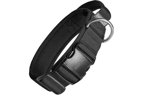 OneTigris Collier pour Chien avec Boucle en métal pour Chien Convient aux Chiens de Taille Moyenne et Grande - Noir M