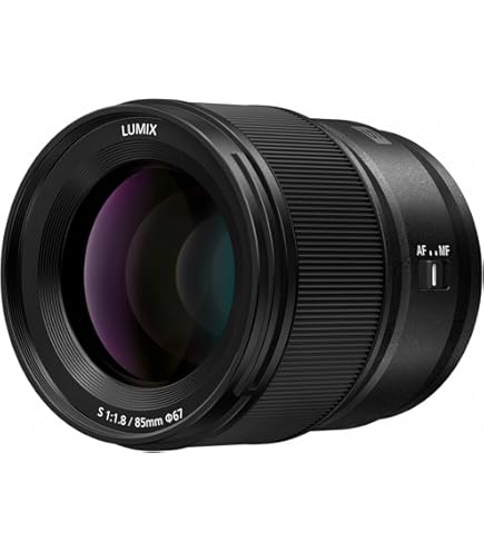 Panasonic Lumix H-HS043K G 42.5mm/F1.7 Lens (Black