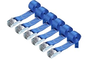 BB SPORT Correa de Amarre cinturón de Amarre con Hebilla - Azul - 1m 2,5m 4m 6m - Diferentes cantidades Resistente a 250 kg DIN EN 12195-2, 6 Piezas 2.5 cm x 1 m