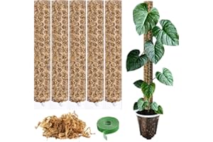 PLANTSCRAPER Moosstab für Monstera Rankhilfe Zimmerpflanzen Zubehör Set - 5 x Pflanzstäbe, Pflanzen Klettband & Moos - Optimiert für Aroiden - Kletterpflanzen Befestigung - 35 x 6 cm - Set