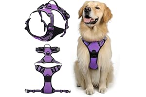 DKDDSSS Arnes Perro Arnés Pecho Antitirones Ajustable, Chaleco Acolchado Transpirable con Cinta Reflectante, Grande