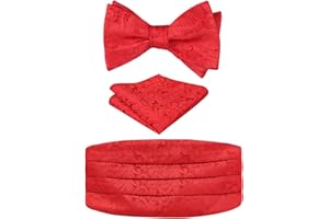 Alizeal Mens Classic Paisley Autosciogliente Leggiletto a fiocco regolabile, Cummerbund e Pocket Square Set