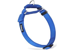 Hyhug Strong Nylon Not Escapable Martingale Dog Collar for Medium Boy and Girl Dogs - Walking Training Daily Use. (Medium, Bright Blue)