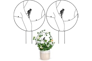 Grünara 2 Stück Rankgitter für Zimmerpflanzen und Garten - Metall Rankhilfe für Topfpflanzen, Stabile Pflanzenstützen für Deko Wohnzimmer (Vogel)