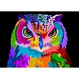 iCoostor Paint By Numbers DIY Acrylic Painting Kit For Kids & Adults Beginner – 16” x 20” Colorful Olw Pattern