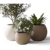 ZEVLİ Japandi Tarzı Modern K&uuml;re Saksı 3'l&uuml; Set - Su Sızdırmaz Dekoratif Salon ve Balkon Saksısı Hediyelik &Ccedil;i&ccedil;eklik Seti (Sahr