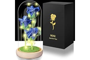 Hemiro Rose Eternelle sous Cloche, Cadeau Maman,Rose Eternelle la Belle et la Bete, Rose Eternelle avec LED dans Un Dôme en Verre, Cadeaux pour Les Femmes,Maman, Grand-mère,Amie Rose Bleue