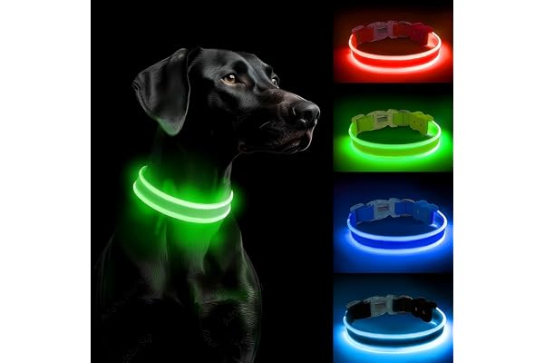 Pceotllar Collier Lumineux avec 3 Modes et Lumiere Réglable pour Petits/Moyens/Grands Chiens, Vert-L