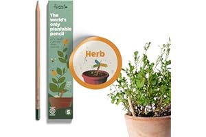 Sprout Pencils | Herb Edition | Graphite Plantable Pencils with Herb Seeds | Certified Wood | Ideal for urban gardeners | 5 Pack