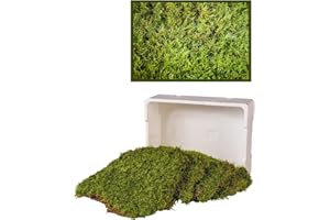 MOOS DESIGN 1 Kiste frisches Moos Moosplatten lebend Moosgarten Friedhof Garten Moosmatten