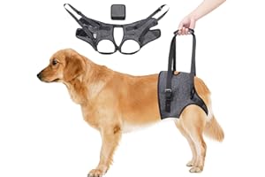 Dokeno - Imbracatura per Cani - Pettorina Cane Portatile, Zampe Posteriori, Grigio (XL)
